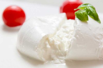 manda-burrata-web-edition